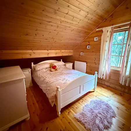 Lakeside Log 4 Bedrooms Dog-friendly Escape * Ballyconnell (Cavan)
